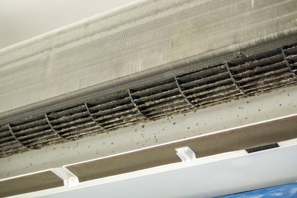 Best Affordable Air Duct Cleaning  in Santa Moni, CA